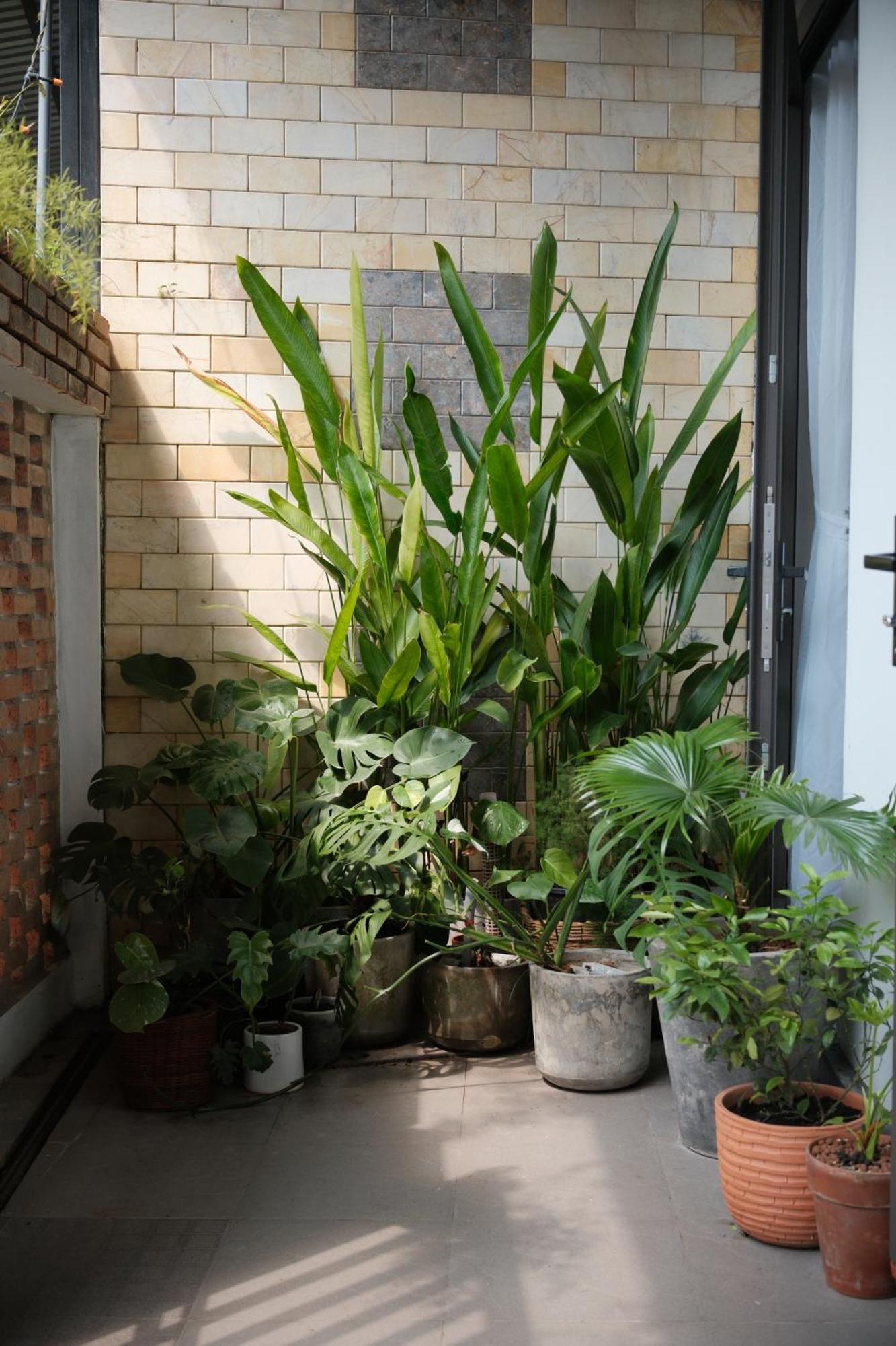Glory Hue Homestay المظهر الخارجي الصورة