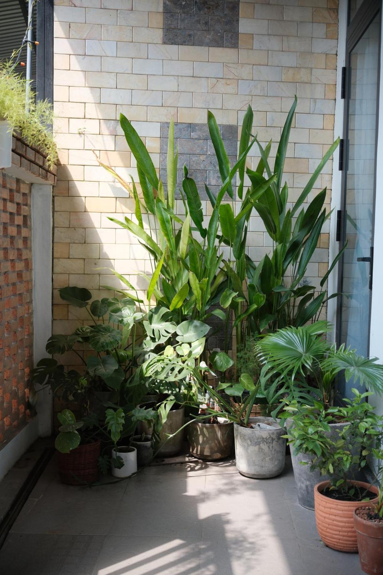 Glory Hue Homestay المظهر الخارجي الصورة