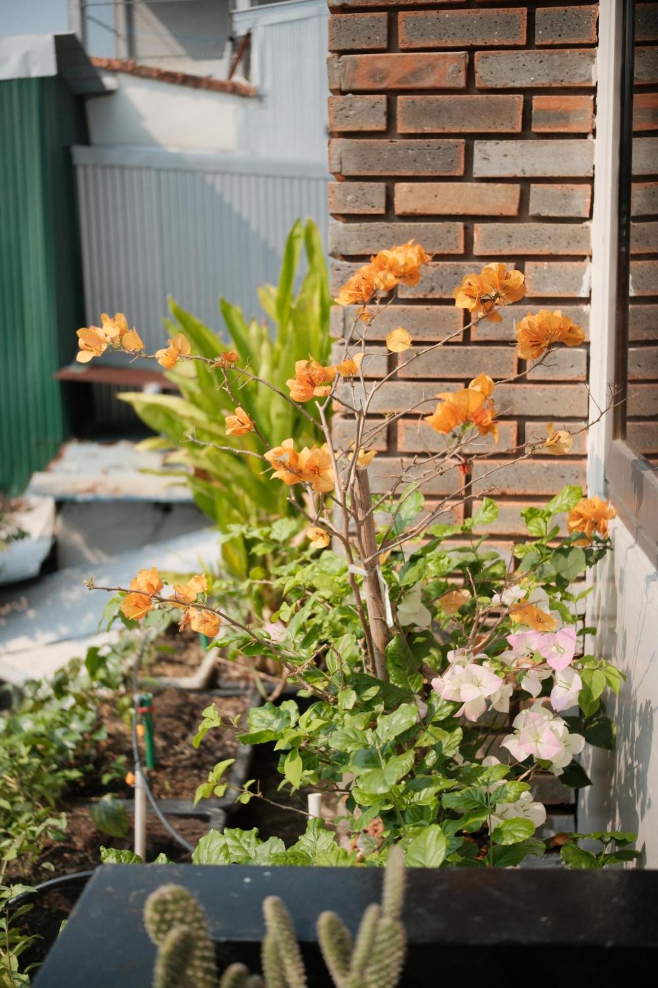Glory Hue Homestay المظهر الخارجي الصورة